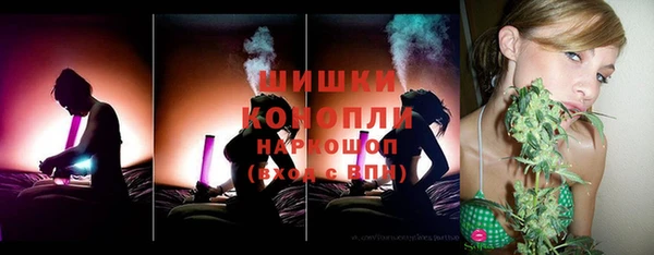 ПСИЛОЦИБИНОВЫЕ ГРИБЫ Арсеньев