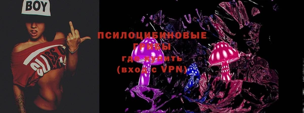 прущие крисы Баксан