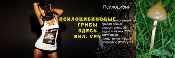 мет Балахна