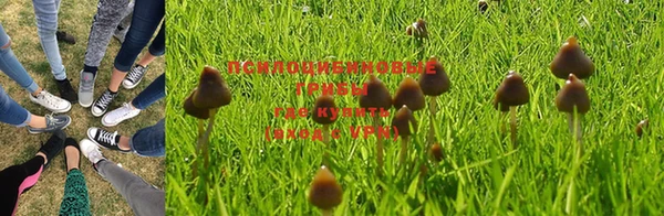 мет Балахна
