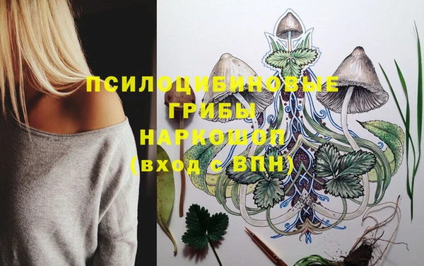 прущие крисы Баксан